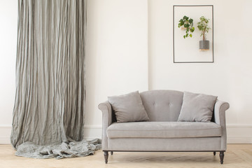 Elegant gray sofa with curtain on wall and creative green decor in light room. 