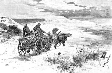 Bauer und Frau mit Pferdegespann am Meer © Juergen