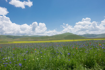 Castelluccio di Norcia in the Sibillini Park