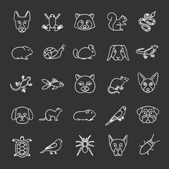 Pets chalk icons set