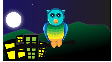 A cute Owl at night