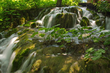 Landscape in Plitvice Lakes National Park in Croatia
