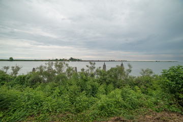 delta del Po primavera