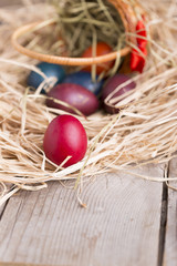 Colorful eastern eggs. Copy space. Selective focus
