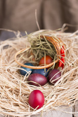 Colorful eastern eggs. Copy space. Selective focus