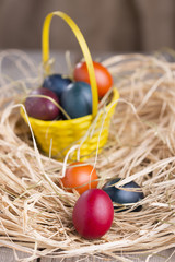 Colorful eastern eggs. Copy space. Selective focus