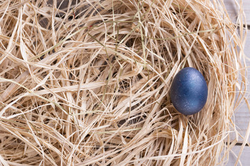 Fototapeta na wymiar Colorful eastern eggs. Copy space. Selective focus