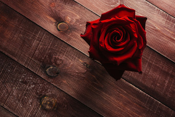 Beautiful vivid red roses on a wooden vintage table. Conception of congratulations and romance. Magazine style. Close up