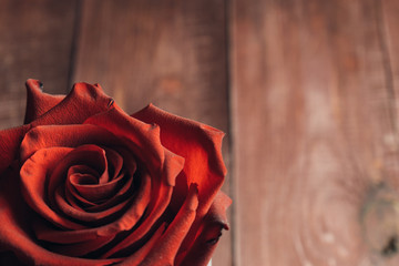 Beautiful vivid red roses on a wooden vintage table. Conception of congratulations and romance. Modern style. Close up