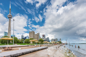 Fototapeta na wymiar Toronto promenade with beach umbrellas and gulls, Toronto, Ontario, Canada.