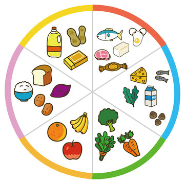 5大栄養素を多く含む食品例のイラスト素材（図）