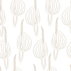 Plantago seamless pattern. Herbal vector background. Botanical ornament with leaves and flowers