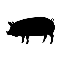 pig_silhouette