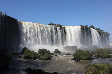 Fototapeta premium Nature