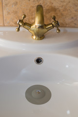 Seal bathtub gray plug