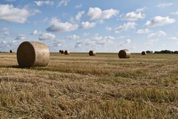 Bales of Straw