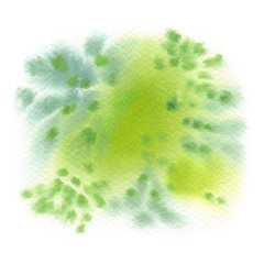 Wet dark and light green blots painted in watercolor on clean white background