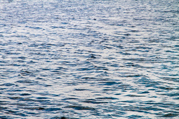 water surface of the river with waves and sunlight reflections