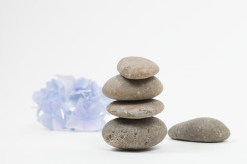 Set of blue flower on pebble