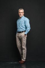 Full length photo of elderly businessman 70s with grey hair and beard posing on camera with smile...