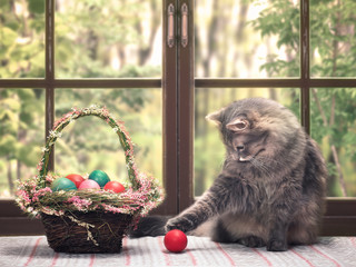 The cat plays with the red egg. A basket of beautiful Easter eggs