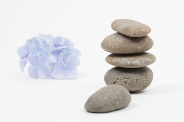 Obraz na płótnie Canvas Set of blue flower on pebble