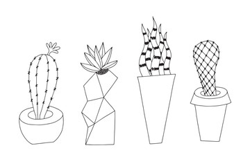 Cactus vector illustration. Doodle style. Isolated on white background.