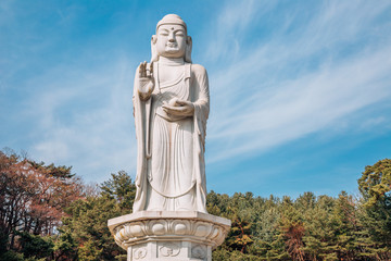Fototapeta na wymiar Buddha statue in Donghwasa temple, Daegu, Korea