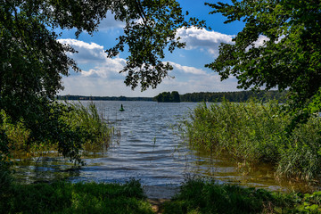 Sommerliche Uferlandschaft am Wanderweg um den Klein Köriser See im Brandenburger Naturpark Dahme-Heideseen