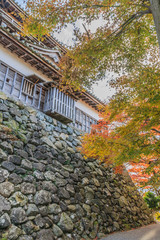 秋の丸岡城の風景