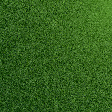 Fußball Rasen Textur mit grünem Gras