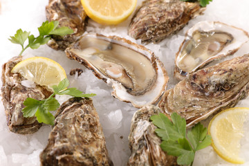 fresh oyster and lemon