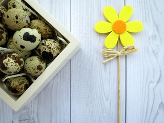Easter eggs and a yellow flower on a white wooden table