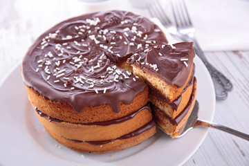 delicious chocolate cake