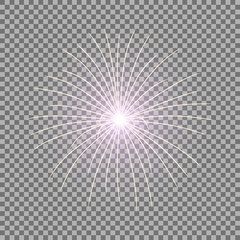 Obraz premium Vector festive firework, burst, purple color