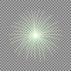 Vector festive firework, burst, green color