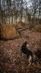 Sonnenuntergang in Bielefeld