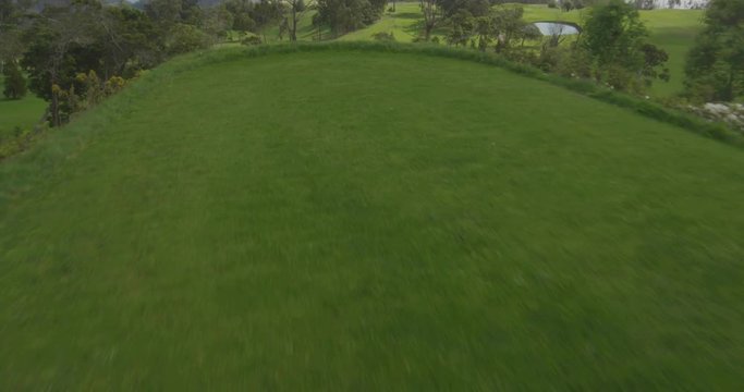 Golf course. Aerial view