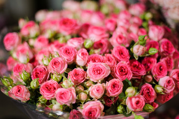 Beautiful bouquet of the pink little roses