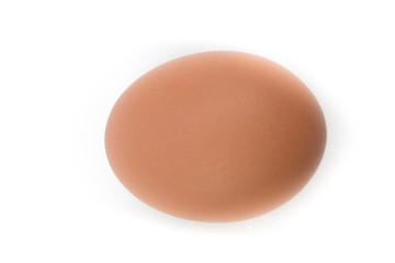 Single brown chicken egg isolated on white. Top view