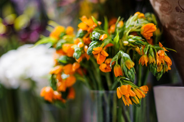 Beautiful orange flowers in a transparent vase