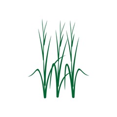 icon logo green grass vector symbol design