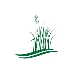 icon logo green grass vector symbol design