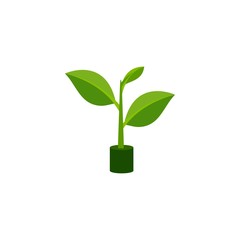 Fototapeta na wymiar green leaf logo vector