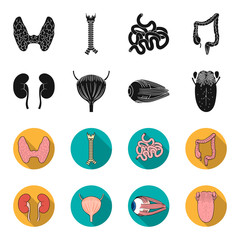 Kidney, bladder, eyeball, tongue. Human organs set collection icons in black,flet style vector symbol stock illustration web. © pandavector