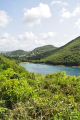 Fototapeta na wymiar Caribbean island
