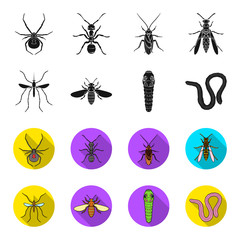 Worm, centipede, wasp, bee, hornet .Insects set collection icons in black,flet style vector symbol stock illustration web. © pandavector