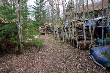 Fototapeta premium Graveyard of Cars