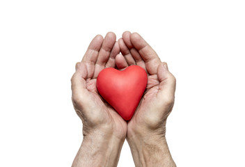 Fototapeta premium Old man's hands with red heart. Clipping path included. 