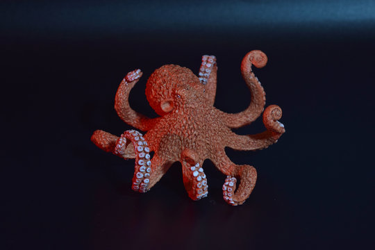 Child's toy octopus with colored gels. 